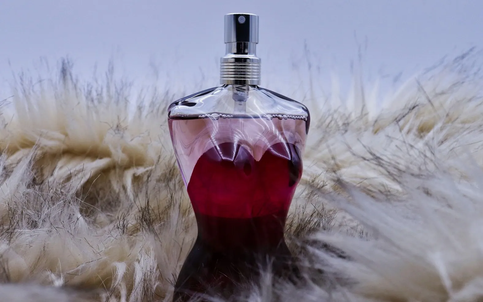 Perfume, bottle and scent