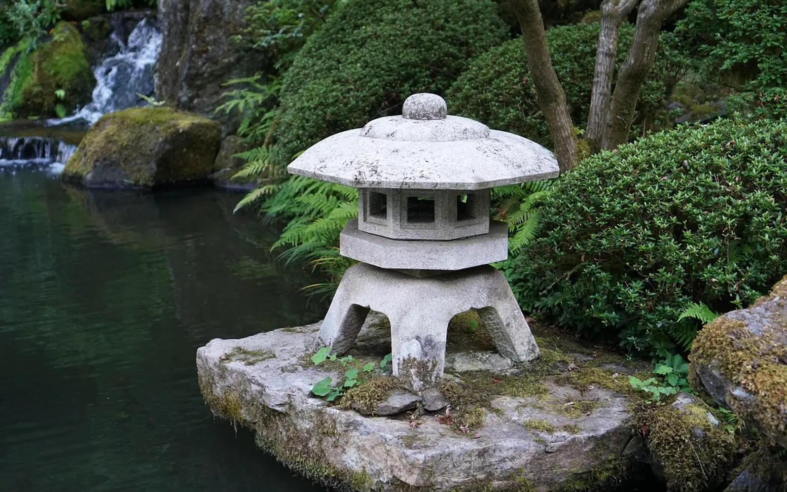 Lantern, pond and garden
