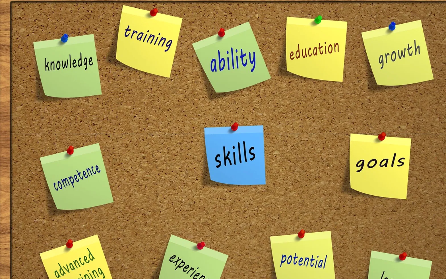 Skills, competence and knowledge