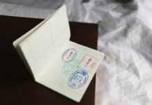 How Second Citizenship by Investment Opens Global Opportunities for Nigerians